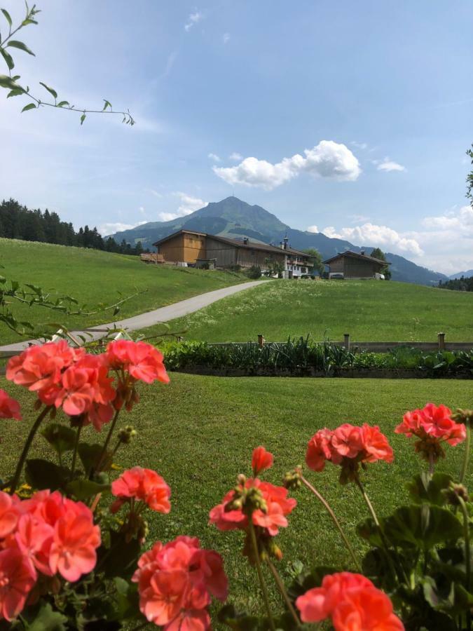 Appartement Woergoetter Evi Sankt Johann in Tirol Εξωτερικό φωτογραφία